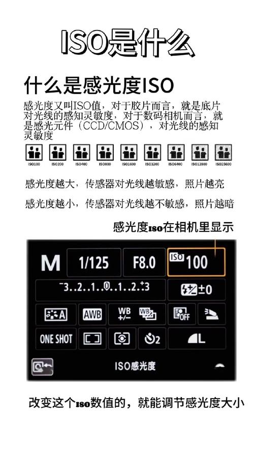 佳能40d人像参数，佳能40d人像参数设置-第3张图片-优品飞百科