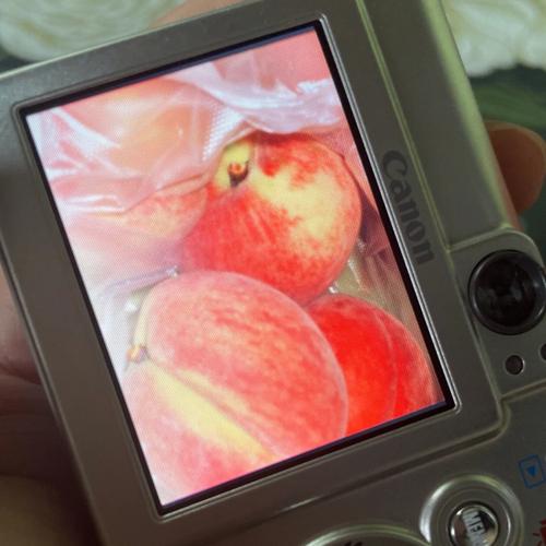 佳能ccdixus，佳能ccdixus130？-第2张图片-优品飞百科