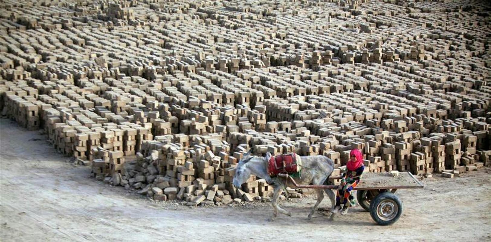 伊拉克抗疫情，伊拉克新冠肺炎疫情？