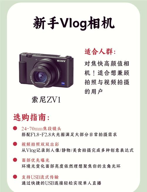 索尼a290配什么镜头，索尼a290是单反吗-第5张图片-优品飞百科