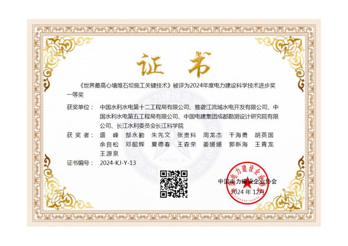 疫情荣誉牌，抗击疫情荣誉奖牌-第2张图片-优品飞百科