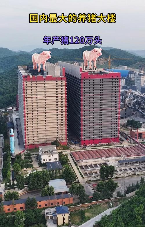 大楼检查疫情？政府机关大楼安全检查？-第6张图片-优品飞百科