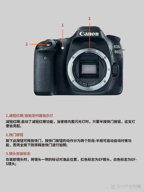 佳能80d和尼康d7200哪个好？佳能80d和尼康d7000哪个好？-第4张图片-优品飞百科