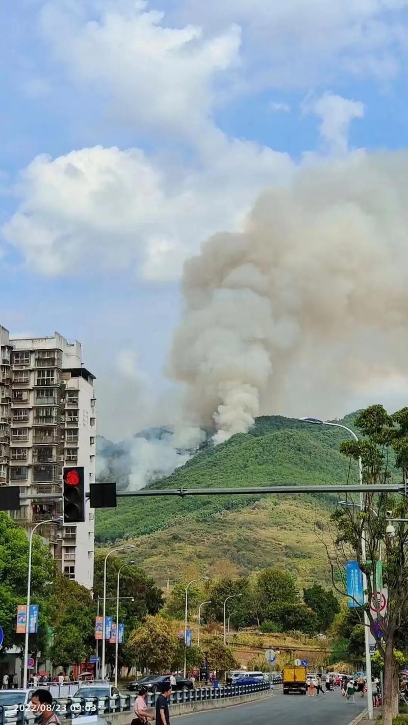 肺炎重庆疫情，重庆新型肺炎疫情实时动态图-第2张图片-优品飞百科