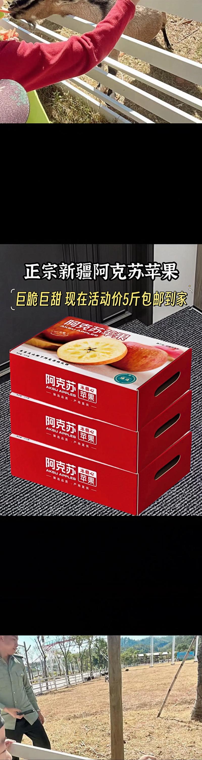 苹果多少一斤？南非小苹果多少一斤？-第2张图片-优品飞百科