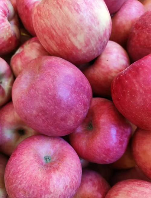 苹果多少一斤？南非小苹果多少一斤？-第7张图片-优品飞百科