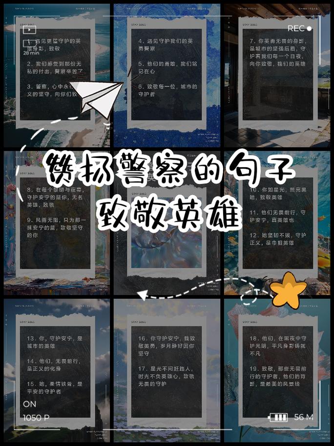 疫情风雪站岗？疫情风雪站岗工作总结？-第4张图片-优品飞百科