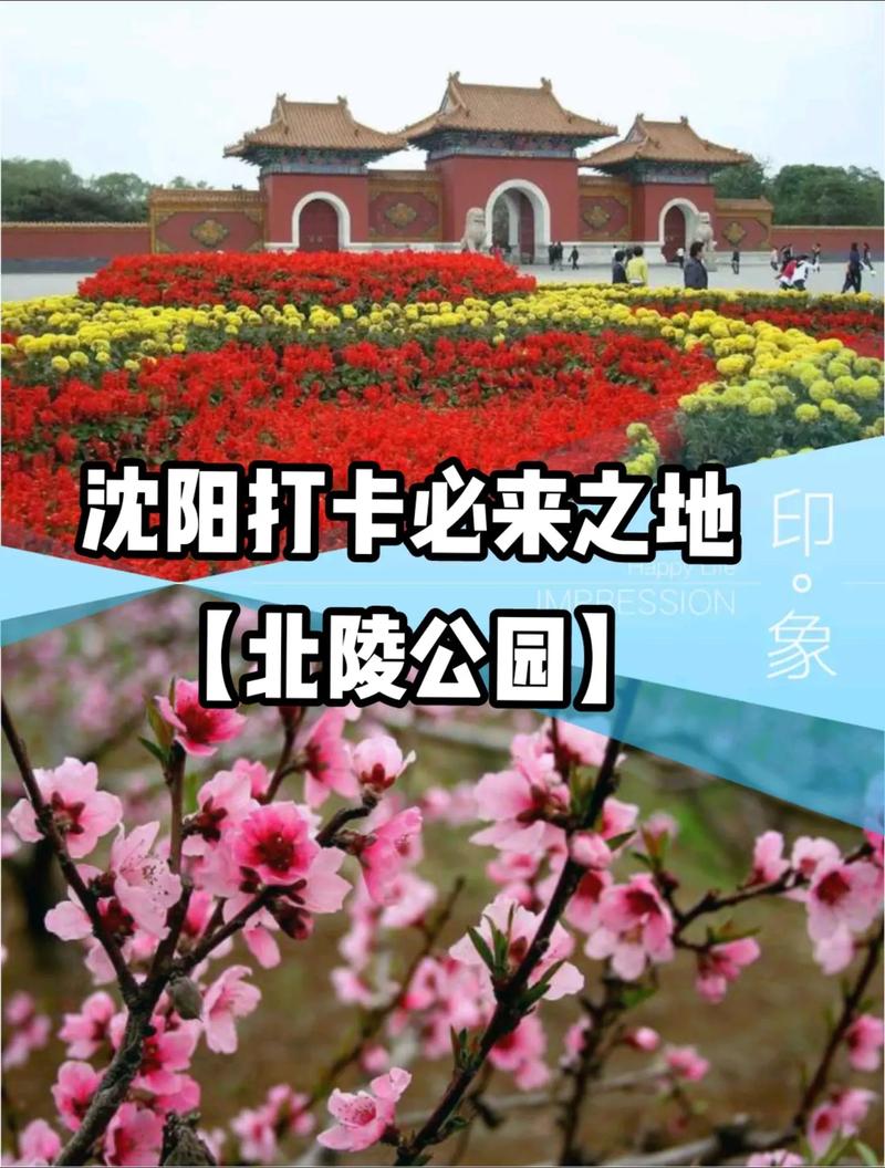 北陵公园疫情，北陵公园疫情期间开放吗？-第7张图片-优品飞百科