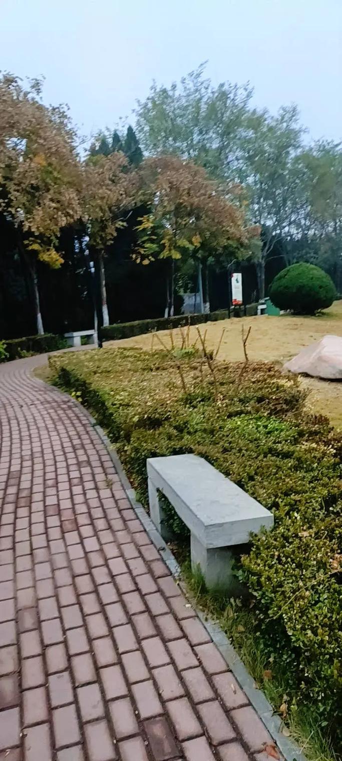 疫情捐赠小诗，疫情捐款捐了一首诗？-第2张图片-优品飞百科