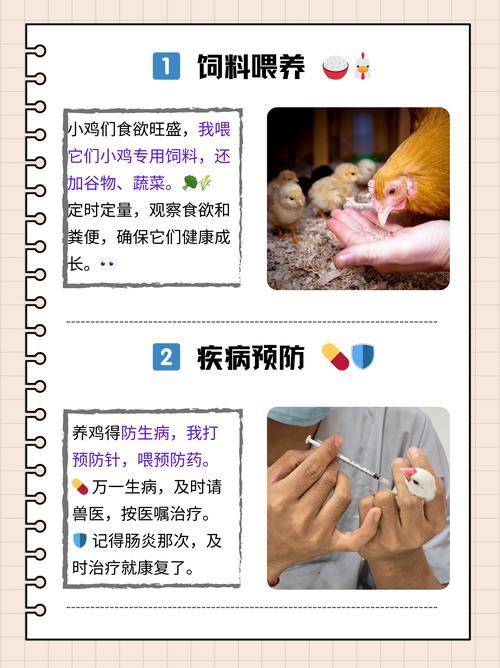 疫情临床观察，疫情期间什么叫医学观察？-第6张图片-优品飞百科