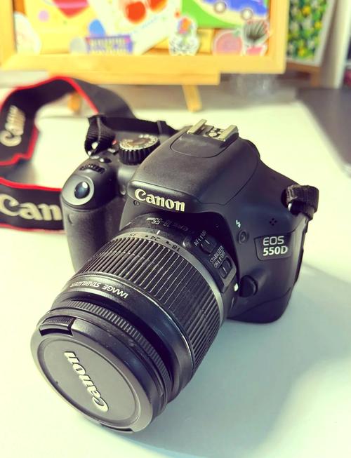 索尼a550和佳能550d哪个好?索尼a5000对比佳能500d?-第3张图片-优品飞百科 索尼a550和佳能550d哪个好?索尼a5000对比佳能500d?-第3张图片-优品飞百科