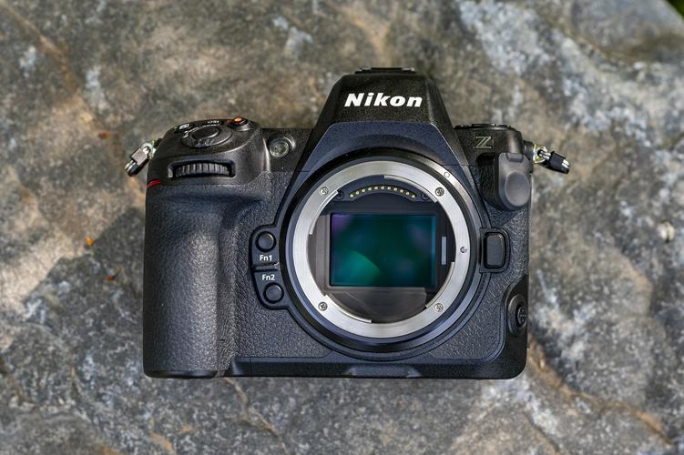 佳能全画幅入门级单反相机有哪些？佳能 入门全画幅？-第6张图片-优品飞百科