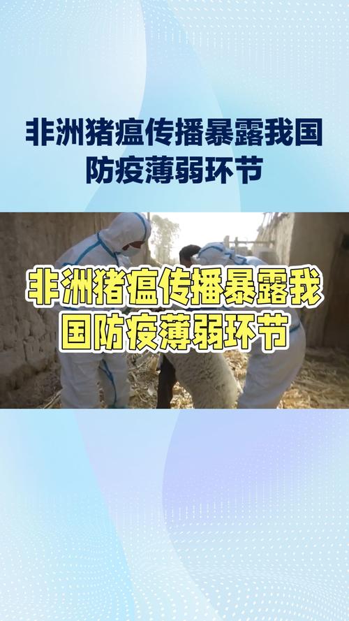 非洲疫情分布，非洲疫情分布在哪里-第2张图片-优品飞百科