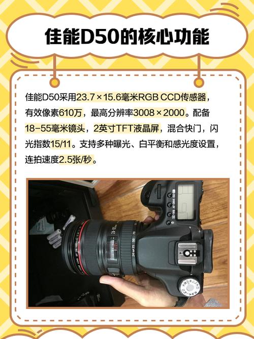 尼康d50怎么连拍？尼康d5600连拍设置？-第8张图片-优品飞百科