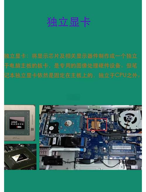 笔记本独立显卡是什么，笔记本独立显卡是什么型号-第5张图片-优品飞百科