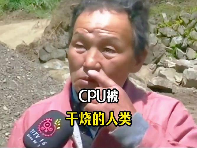 cpu的中文含义是什么？cpu的中文含义?？-第5张图片-优品飞百科