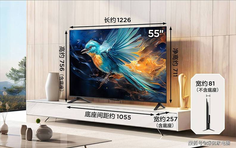 55寸显示器多大，55寸显示器多少钱一台-第4张图片-优品飞百科