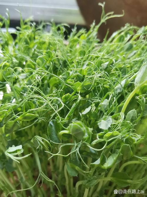 疫情下的自救？疫情下的自救作文？-第6张图片-优品飞百科