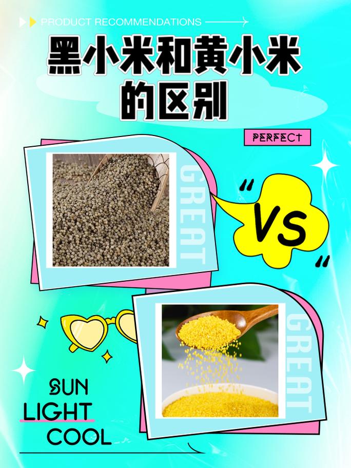 黑小米和黄小米的区别，黑小米和黄小米的区别和功效-第4张图片-优品飞百科