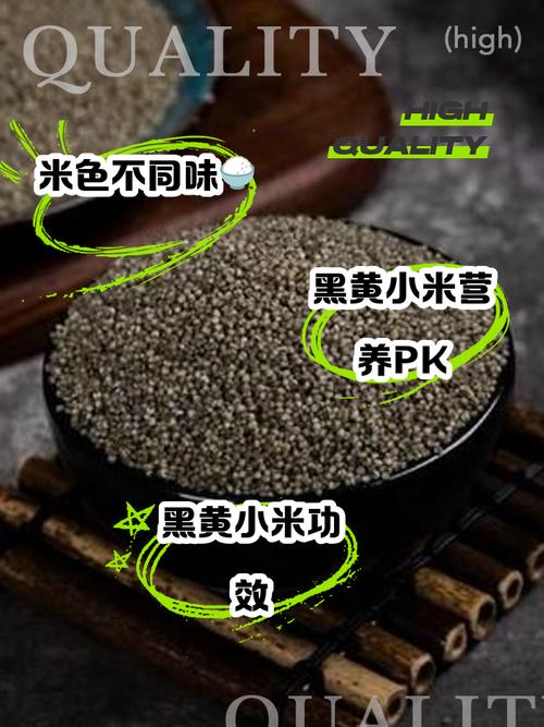 黑小米和黄小米的区别，黑小米和黄小米的区别和功效-第5张图片-优品飞百科