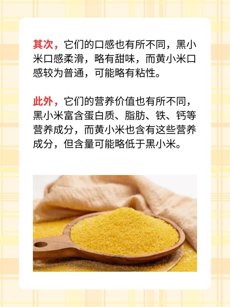 黑小米和黄小米的区别，黑小米和黄小米的区别和功效-第6张图片-优品飞百科