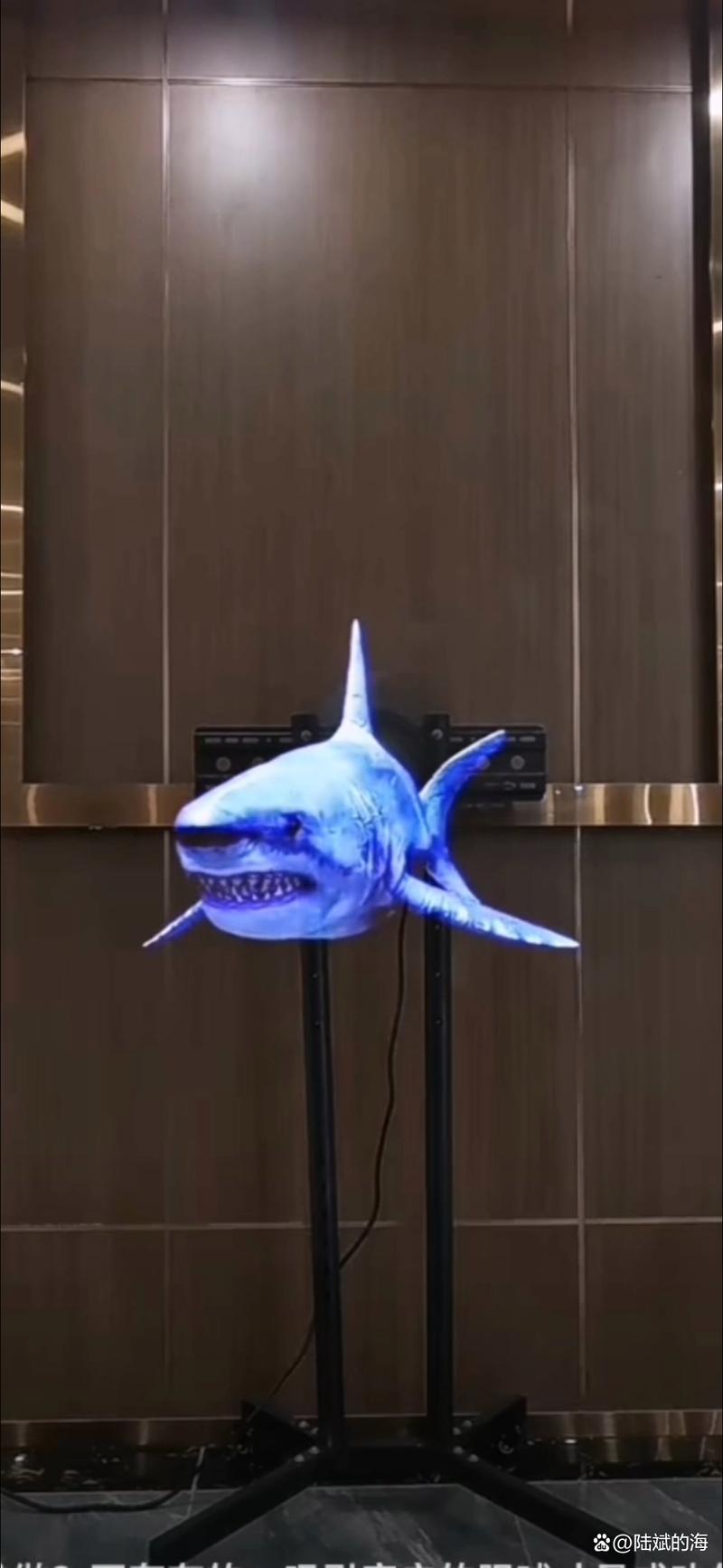 3d全息风扇屏厂家排名，全息风扇屏生产厂家-第8张图片-优品飞百科