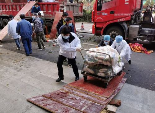 地理视角疫情？地理视角看疫情内容？-第4张图片-优品飞百科