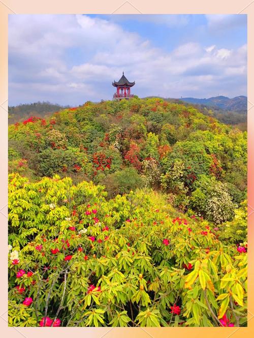 贵州天气预报一周？贵州天气预报一周15天查询结果？-第5张图片-优品飞百科