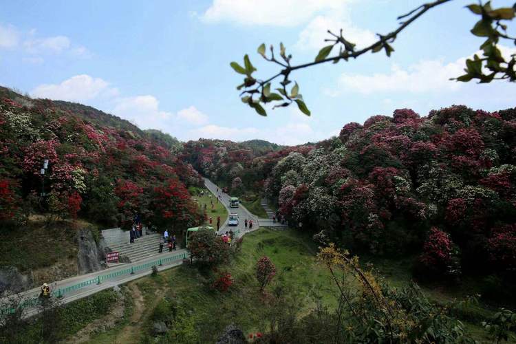 贵州天气预报一周？贵州天气预报一周15天查询结果？-第6张图片-优品飞百科