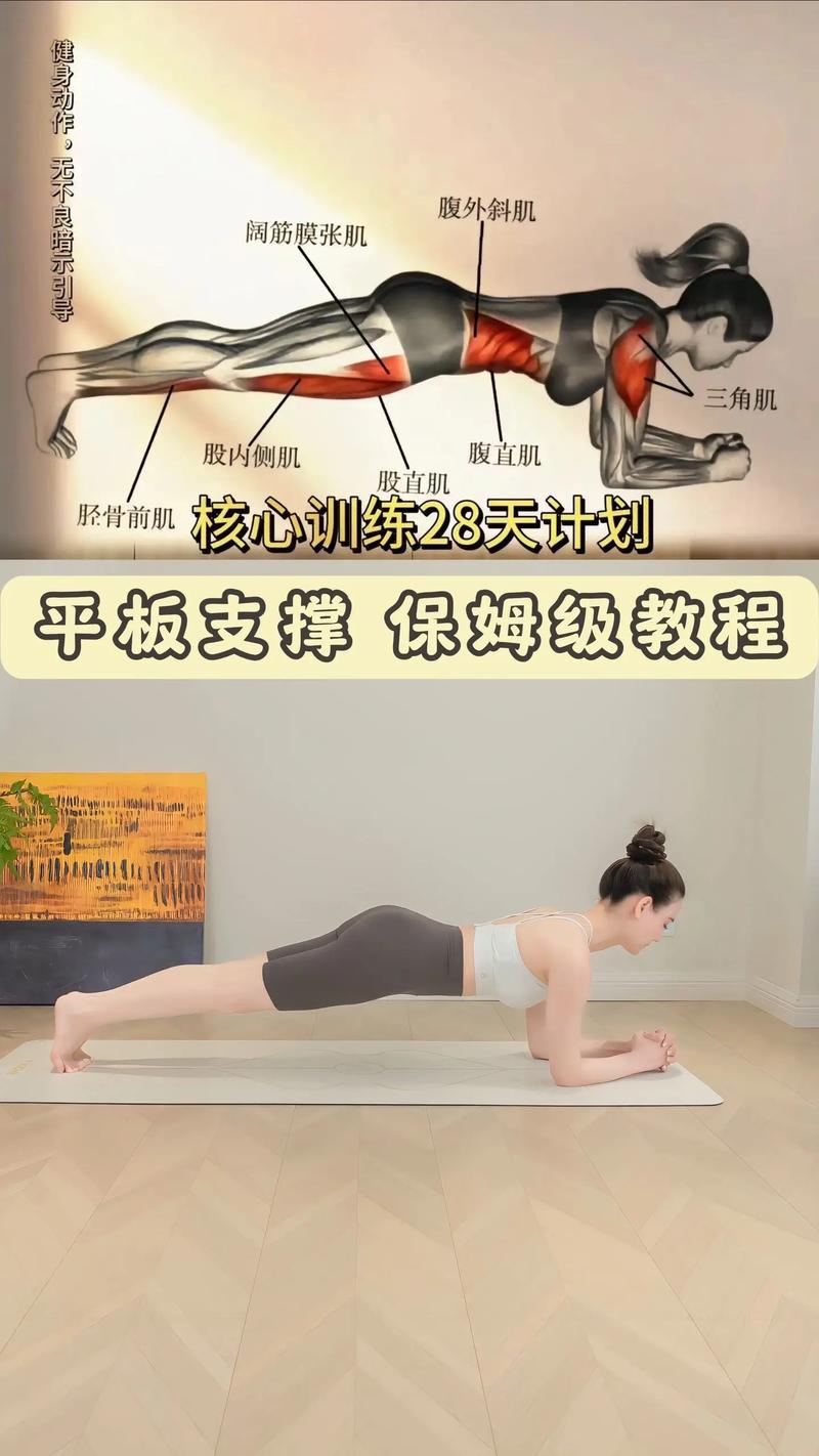 平板支撑的作用，平板支撑的作用和正确姿势