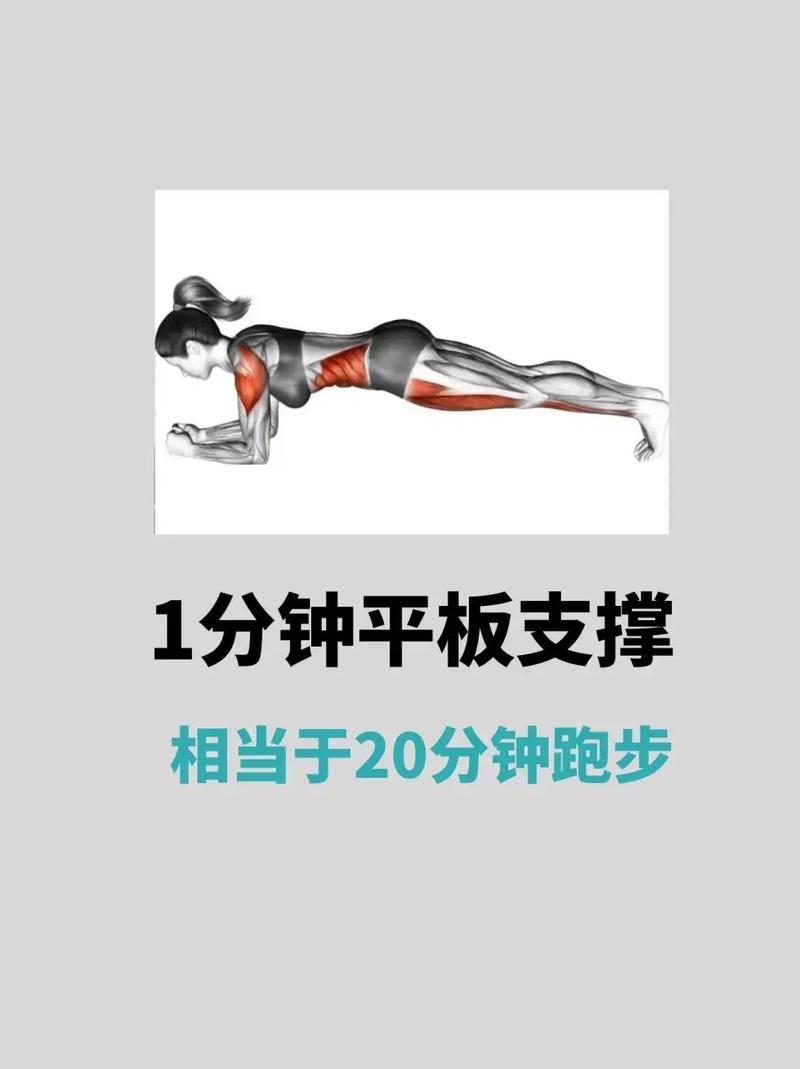 平板支撑的作用，平板支撑的作用和正确姿势-第2张图片-优品飞百科