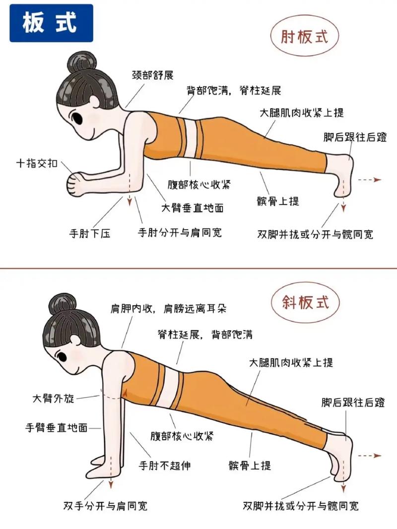 平板支撑的作用，平板支撑的作用和正确姿势-第3张图片-优品飞百科