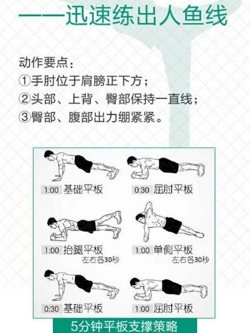 平板支撑的作用，平板支撑的作用和正确姿势-第5张图片-优品飞百科