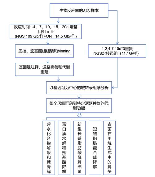 宏基因组和宏转录组的区别，宏基因组原理-第3张图片-优品飞百科
