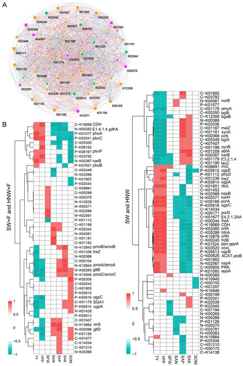 宏基因组和宏转录组的区别，宏基因组原理-第4张图片-优品飞百科