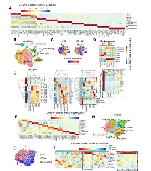 宏基因组和宏转录组的区别，宏基因组原理-第6张图片-优品飞百科