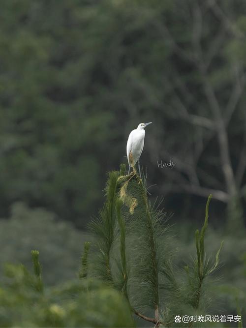 索尼h400能换镜头吗？索尼h400能换镜头吗视频？-第7张图片-优品飞百科