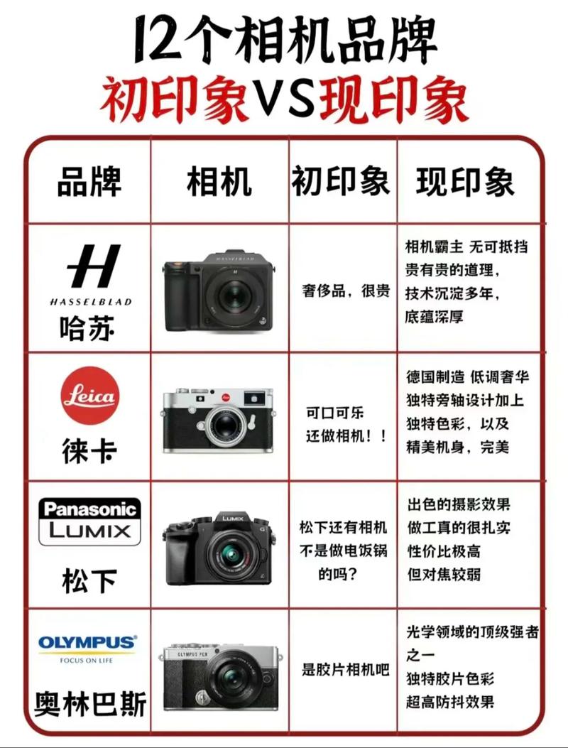 照相机入门级买哪个好，摄影入门相机选取-第6张图片-优品飞百科