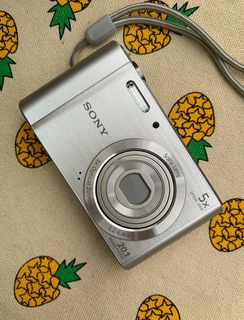 索尼wx500防抖吗？索尼500对焦技巧？-第2张图片-优品飞百科