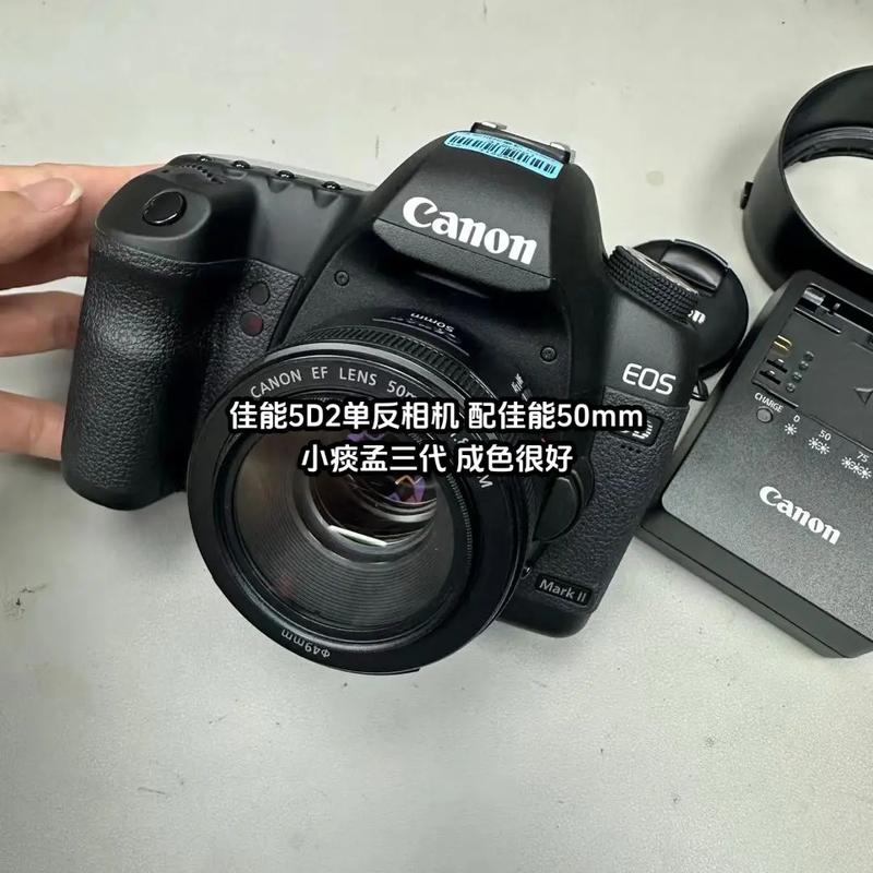 佳能相机1d好还是5d好？佳能5d和1dx哪个好?？-第2张图片-优品飞百科