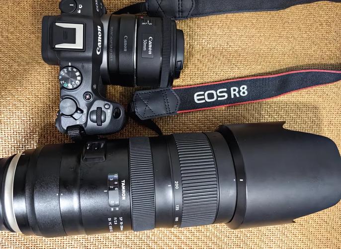 腾龙镜头查询真伪,腾龙镜头验真伪?-第7张图片-优品飞百科 腾龙镜头查询真伪,腾龙镜头验真伪?-第7张图片-优品飞百科