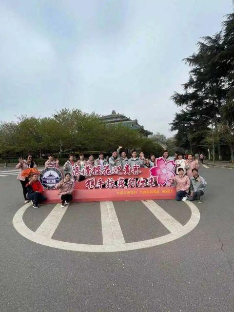 疫情的樱花，疫情樱花盛开-第4张图片-优品飞百科