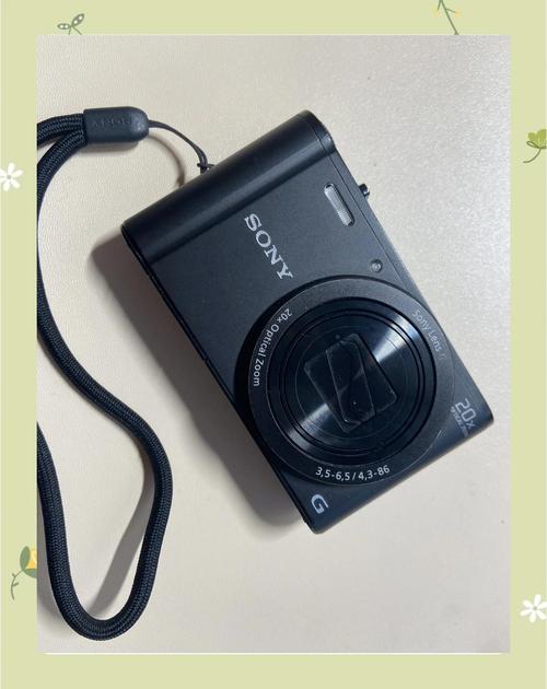 索尼数码相机哪款性价比比较高，索尼数码相机买哪个好？-第2张图片-优品飞百科