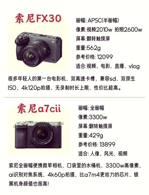 索尼数码相机哪款性价比比较高，索尼数码相机买哪个好？-第6张图片-优品飞百科