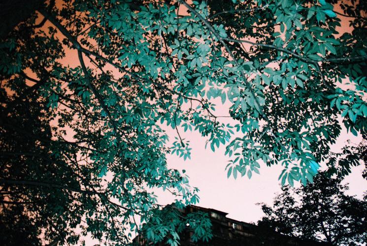 lomo相机和傻瓜相机的区别？傻瓜相机哪个好？-第5张图片-优品飞百科