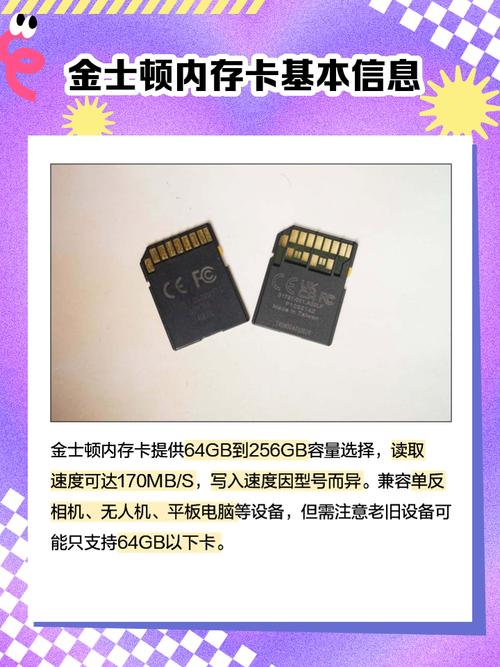 tf内存卡32g多少钱，tf卡内存多大？-第5张图片-优品飞百科
