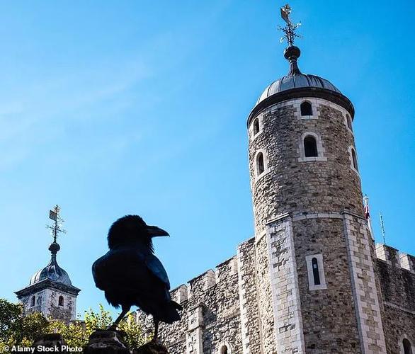 疫情与国运，疫情与国情-第7张图片-优品飞百科