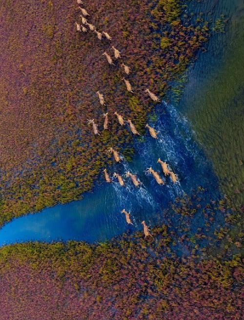 江苏疫情盐城，江苏盐城疫情防控政策最新消息？-第5张图片-优品飞百科