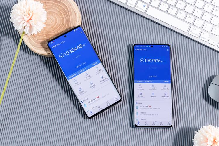 黑鲨和iqoo哪个比较好,黑鲨和iqoo谁更好-第4张图片-优品飞百科 黑鲨和iqoo哪个比较好,黑鲨和iqoo谁更好-第4张图片-优品飞百科