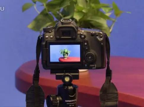 佳能70d镜头怎么取下来，佳能eos70d怎么拆镜头？-第3张图片-优品飞百科